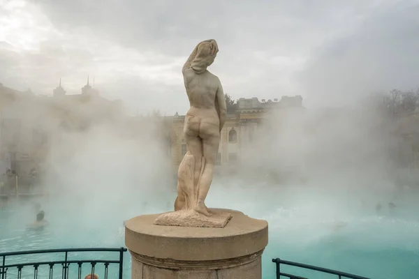 Skulptur Einer Frau Szechenyi Bad Budapest Bei Kaltem Tag Ungarn — Stockfoto