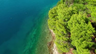 Ithaki adası, Kefalonia, İyon denizi ve Yunanistan 'da çok güzel turkuaz deniz suyuyla kayalık bir sahilde çam ağaçları ormanı. Ithaca adasında kristal berrak su ile inanılmaz bir İyon deniz kıyısının havadan görüntüsü.