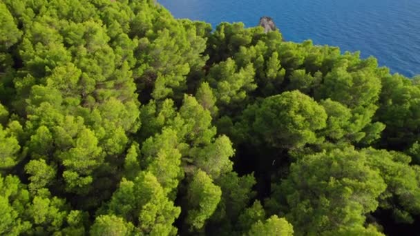 Falaises Keri Sur Île Zante Mer Ionienne Grèce Magnifique Rocher — Video