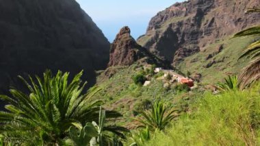 Tenerife 'deki Masca Vadisi' nin manzarası, Kanarya Adası, İspanya. Tenerife 'de palmiye ağaçları ve tropikal bitki örtüsü olan manzaralı bir dağ manzarası. Masca köyünde ünlü volkanik kaya oluşumu