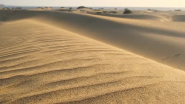 Közelkép Homokdűnékről Sivatagban Bonyolult Mintákkal Homokba Vésve Szél Által Nyers — Stock videók