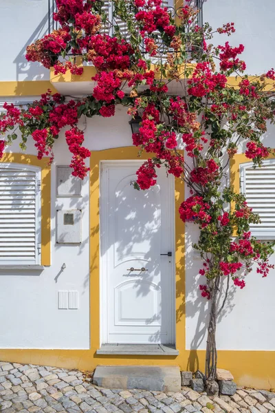 Traditional Portuguese House Flowers Algarve Region Portugal Beautiful Bush Red — Stock Photo, Image