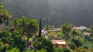 Tenerife 'deki Masca Vadisi' nin manzarası, Kanarya Adası, İspanya. Tenerife 'de palmiye ağaçları ve tropikal bitki örtüsü olan manzaralı bir dağ manzarası. Masca köyünün yavaş çekim görüntüsü