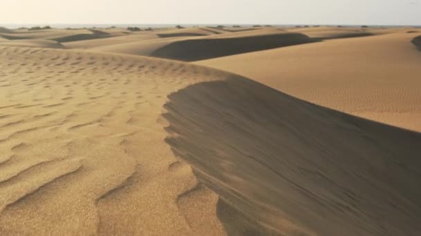 沙漠中沙丘的近景 风在沙滩上刻有复杂的图案 原始而美丽的沙漠风景 西班牙加那利群岛Gran Canaria的Maspaloma Dunes — 图库视频影像