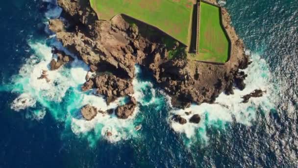 Πράσινα Λιβάδια Στη Βραχώδη Ακτή Του Νησιού Τενερίφη Ισπανία Εναέρια — Αρχείο Βίντεο