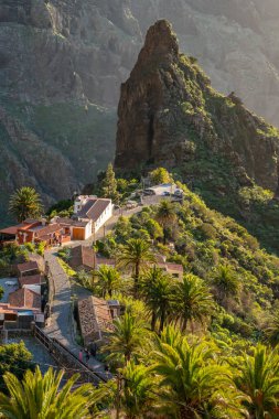Tenerife 'deki Masca Vadisi' nin manzarası, Kanarya Adası, İspanya. Tenerife 'de palmiye ağaçları ve tropikal bitki örtüsü olan manzaralı bir dağ manzarası. Masca köyünde ünlü volkanik kaya oluşumu