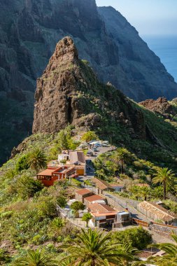 Tenerife 'deki Masca Vadisi' nin manzarası, Kanarya Adası, İspanya. Tenerife 'de palmiye ağaçları ve tropikal bitki örtüsü olan manzaralı bir dağ manzarası. Masca köyünde ünlü volkanik kaya oluşumu