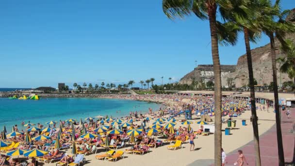 Гран Канария Испания Февраля 2023 Года Пляж Playa Amadores Гран — стоковое видео