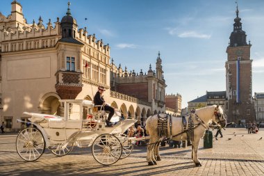 Krakow, Polonya - 27 Ekim 2022: Polonya 'nın Krakow kentindeki ana pazar meydanında eski at arabaları. Krakow Rynek Meydanı 'nda gün batımında beyaz at arabası