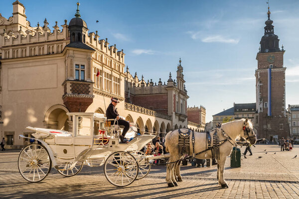 Krakow, Poland - October 27, 2022: Vintage horse carriages at main market square in Krakow, Poland. White horse carriage on Krakow rynek square at sunset