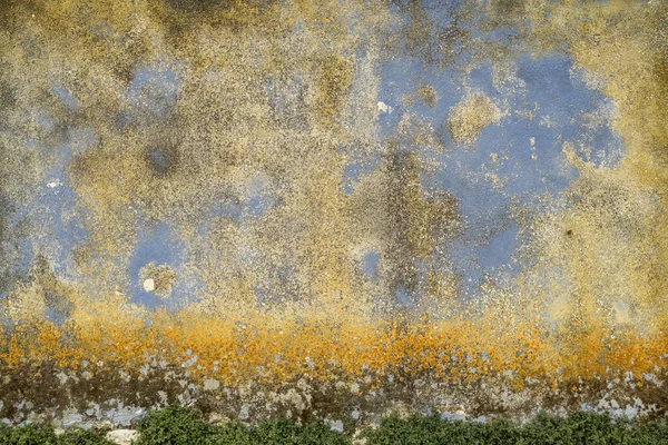 Oude Beschimmelde Muur Textuur Achtergrond Kleurrijke Muur Met Mos Schimmel — Stockfoto