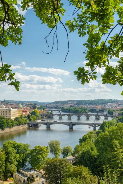 Prágai Városkép Nyáron Prága Óvárosa Károly Híd Moldva Folyó Csehország — Stock Fotó