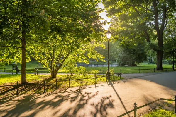 夏の美しい都市公園 緑の木々や都市灯が美しい公園の夕日 — ストック写真