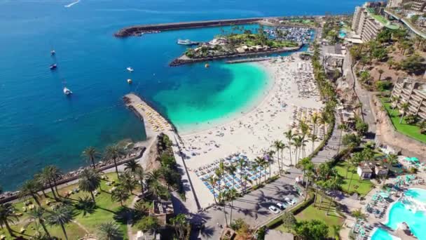 Légi Kilátás Playa Verga Strandra Gran Canaria Kanári Szigetek Spanyolország — Stock videók