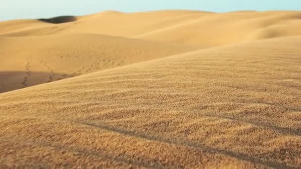 Close View Sand Dunes Desert Intricate Patterns Carved Sand Wind — Stock Video