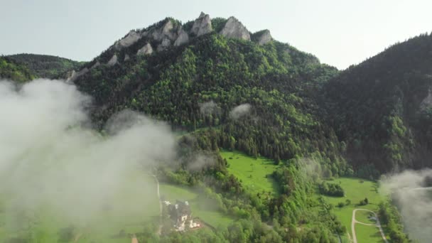 夏にPieninineでTrzy Korony山の空中ビュー ポーランド 美しいピークの風景スロバキアの朝の霧と山の川と3つの王冠 ポーランド国境 — ストック動画