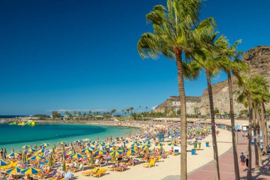 Gran Canaria, İspanya - 1 Şubat 2023: Playa de Amadores plajı Gran Canaria, Kanarya Adaları, İspanya. Kanarya adalarında lüks tatil yerleri. Palmiye ağaçları ve turkuaz deniz suyu plajı..