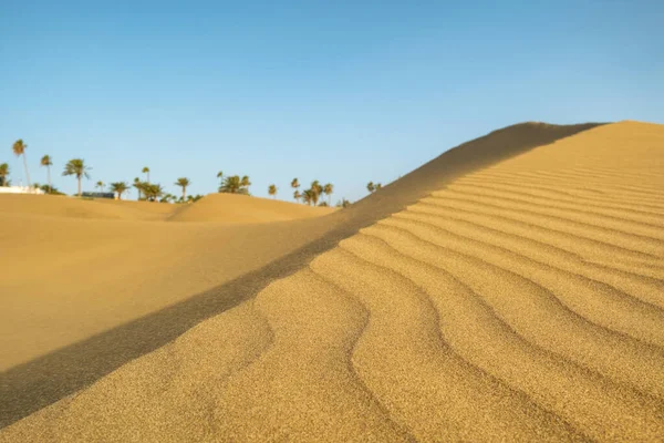 Detailní Pohled Písečné Duny Poušti Složitými Vzory Vytesanými Písku Větrem — Stock fotografie