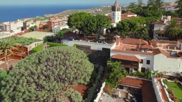 Aerial View Icod Los Vinos Town Tenerife Canary Islands Spain — Vídeos de Stock