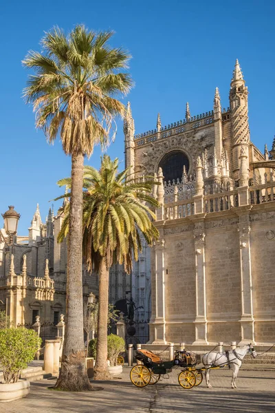 Arka Planda Giralda Katedrali Olan Sevilla Daki Arabası Endülüs Spanya — Stok fotoğraf