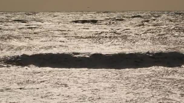 Κύματα Του Ωκεανού Σπάνε Απαλά Μια Ακτή Την Ηλιόλουστη Μέρα — Αρχείο Βίντεο