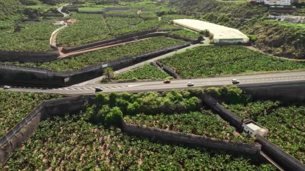 Autopista Attraverso Lussureggianti Piantagioni Banane Nella Parte Settentrionale Tenerife Isole — Video Stock