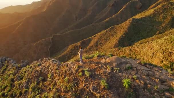 Spanya Nın Kanarya Adaları Tenerife Masca Vadisi Ndeki Verimli Volkanik — Stok video