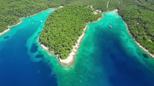 在克罗地亚达尔马提亚地区的美丽的拉布岛海岸 有着田园诗般的绿松石海水湾的空中景观 帆船停泊在有野生海滩的沿海海湾中 无人机俯瞰画面 — 图库视频影像