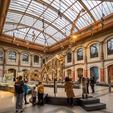 Berlin, Germany - December 13, 2022: A skeleton of tyrannosaurus at Natural history museum Museum fur Naturkunde, MfN, Naturkundemuseum or Humboldt-Museum, Berlin, Germany.