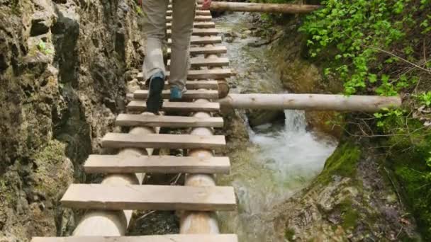 スロバキアのスロバキア国立公園 ハイカーは 木製の階段と山の川を持つ狭い山の渓谷であるスチャ ゴージを探索しています トップハイキングの1つ — ストック動画