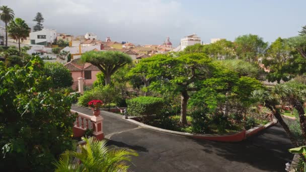 Jardines Del Marquesado Quinta Roja Garden Kota Orotava Tenerife Kepulauan — Stok Video