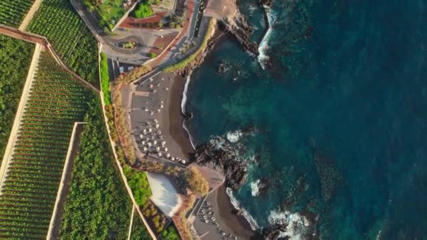 Vista Aérea Praia Playa Jaquita Plantações Palmeiras Banana Ilha Tenerife — Vídeo de Stock