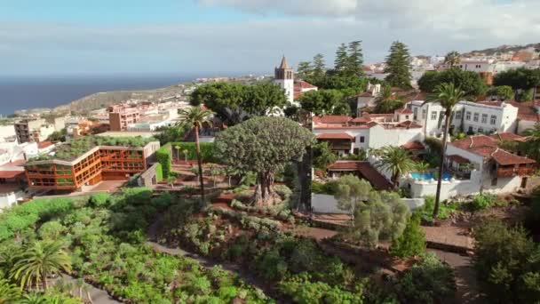 西班牙加那利群岛Tenerife的Icod Los Vinos镇的空中景观 公园里有著名的千年龙树和帕罗基亚圣马科斯 Tenerife的Millenario Giant Dracaena树 — 图库视频影像