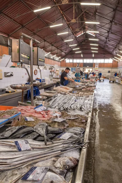 Olhao Portugal April 2022 Fish Seafood Section Olhao Municipal Market — kuvapankkivalokuva