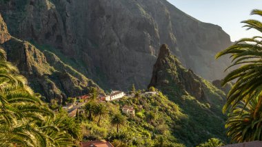 Günbatımında Masca Vadisi 'nin manzarası Tenerife, Kanarya Adası, İspanya. Tenerife 'de palmiye ağaçları ve tropikal bitki örtüsü olan manzaralı dağ manzarası.
