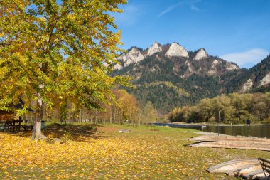 Pieniny 'deki Trzy Korony Dağı sonbahar sezonunda Polonya' da. Güzel bir sonbahar gününde, Slovakya 'da portakal ağaçları ve dağ nehri ile üç taç. Polonya sınırı.