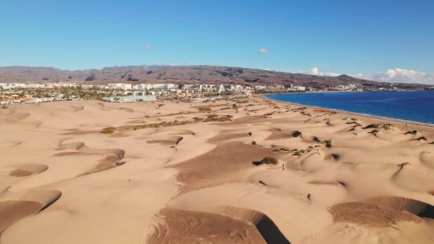 มมองทางอากาศของ Maspalomas Dunes ชายหาด Playa เดลฟ พระอาท Maspalomas กรานคานาเร เกาะ — วีดีโอสต็อก