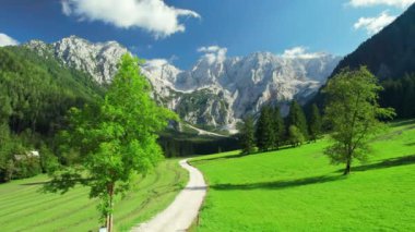 Arkasında Kamnik-Savinja Alpleri olan Idyllic yeşil vadisi. Slovenya 'nın Zgornje Jezersko kentindeki Ravenska Kocna Vadisi' nin yaz Alp manzarası. Güzel Sloven seyahat yeri. Hava görünümü