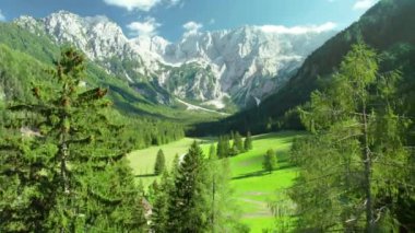 Arkasında Kamnik-Savinja Alpleri olan Idyllic yeşil vadisi. Slovenya 'nın Zgornje Jezersko kentindeki Ravenska Kocna Vadisi' nin yaz Alp manzarası. Güzel Sloven seyahat yeri. Hava görünümü