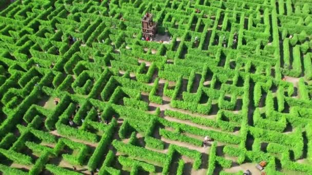 Αεροφωτογραφία Των Ανθρώπων Που Προσπαθούν Βρουν Έξοδο Ένα Λαβύρινθο Κήπο — Αρχείο Βίντεο