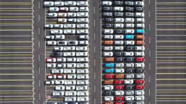 Aerial Top View New Cars Parked Sale Stock Lot Row — Stock Video