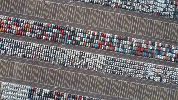 Повітряний Вид Зверху Вниз Нові Автомобілі Припарковані Продажу Складі Ряду — стокове відео