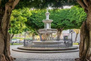 Tenerife, Kanarya Adaları 'ndaki San Cristobal de La Laguna kasabasındaki Adelantado Meydanı' ndaki tarihi Fuente de La Plaza del Adelantado çeşmesi.