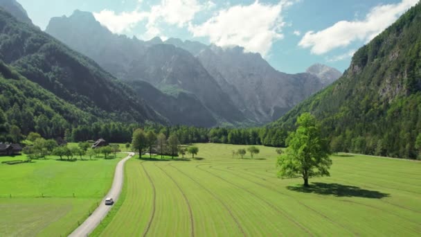 Vista Aérea Estrada Montanhas Alpinas Prados Verdes Árvores Verão Vista — Vídeo de Stock