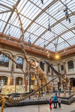 Berlin, Germany - December 13, 2022: A skeleton of tyrannosaurus at Natural history museum Museum fur Naturkunde, MfN, Naturkundemuseum or Humboldt-Museum, Berlin, Germany.
