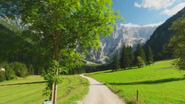 Arkasında Kamnik-Savinja Alpleri olan Idyllic yeşil vadisi. Slovenya 'nın Zgornje Jezersko kentindeki Ravenska Kocna Vadisi' nin yaz Alp manzarası. Sabit görüntü görüntüsü