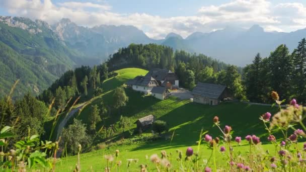 Beau Paysage Alpin Avec Des Fleurs Sauvages Colorées Des Maisons — Video