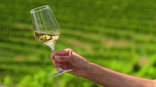 背景にグラス 緑のブドウ畑に白ワインを飲み込む女性の手のクローズアップ ワインの専門家による試飲 香ばしいワイン ヴィニゼーション オーガニック品質 ワイナリービジネスコンセプト — ストック動画