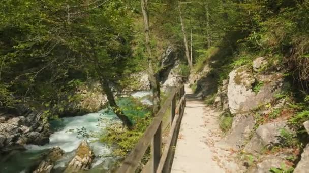 Die Vintgar Schlucht Triglav Nationalpark Slowenien Ist Eine Atemberaubende Schlucht — Stockvideo