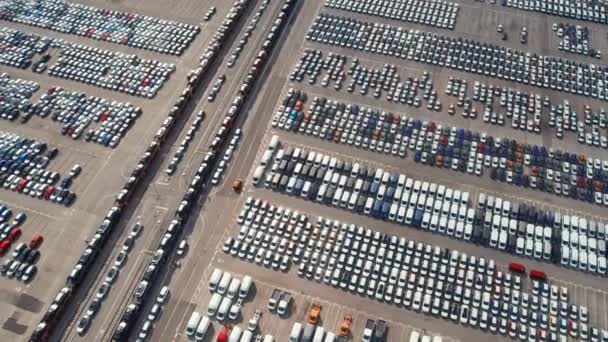 Aerial Top View New Cars Parked Sale Stock Lot Row — Stock Video